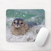 Tapis De Souris Un bébé phoque surfant (Avec souris)