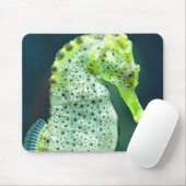 Tapis De Souris Un bel hippocampe de Knysna (Avec souris)