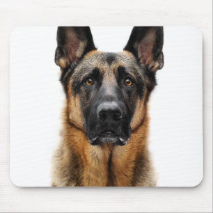 Tapis De Souris Un berger allemand assis