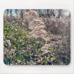 Tapis De Souris Un bonheur d'automne...
