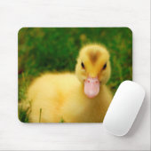 Tapis De Souris Un caneton minuscule (Avec souris)
