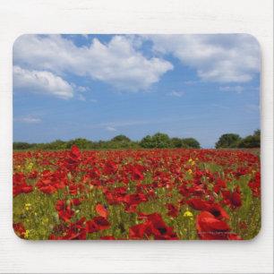 Tapis De Souris Un champ complètement des fleurs rouges