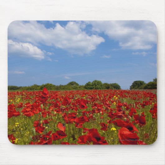 Tapis De Souris Un champ complètement des fleurs rouges (Devant)