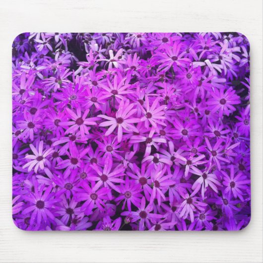 Tapis De Souris Un champ de marguerites violettes et roses (Devant)