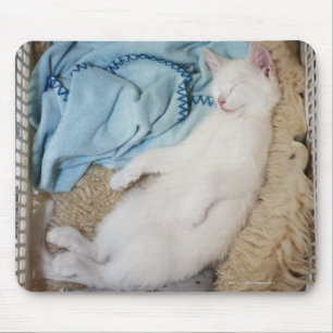 Tapis De Souris Un chat blanc dormant dans un panier de