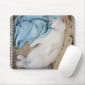 Tapis De Souris Un chat blanc qui dort dans une corbeille, (Avec souris)