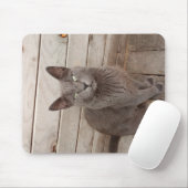 Tapis De Souris Un chat noble gris (Avec souris)