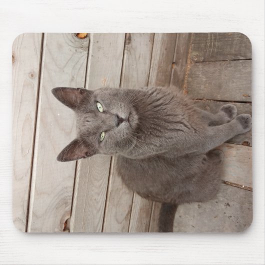 Tapis De Souris Un chat noble gris (Devant)