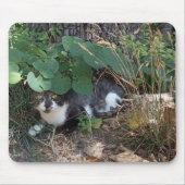 Tapis De Souris Un chat qui se cache (Devant)