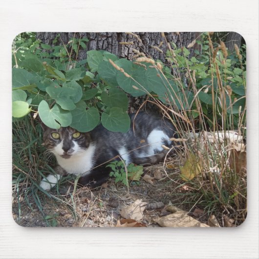 Tapis De Souris Un chat qui se cache (Devant)