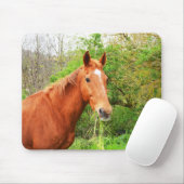 Tapis De Souris Un cheval appelé Orion (Avec souris)