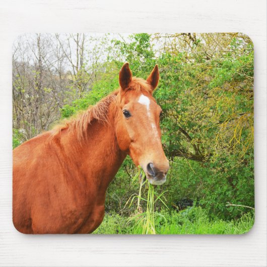 Tapis De Souris Un cheval appelé Orion (Devant)