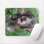 Tapis De Souris Un chien allemand d'indicateur aux cheveux courts (Avec souris)