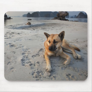 Tapis De Souris Un chien tranquille sur la plage