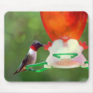 Tapis De Souris Un colibri à gorge rubis