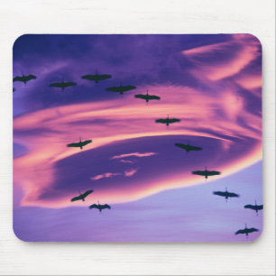 Tapis De Souris Un composite photo de grues Sandhill en vol