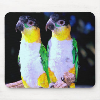 Tapis De Souris Un couple heureux