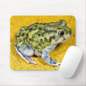 Tapis De Souris Un crapaud (Avec souris)