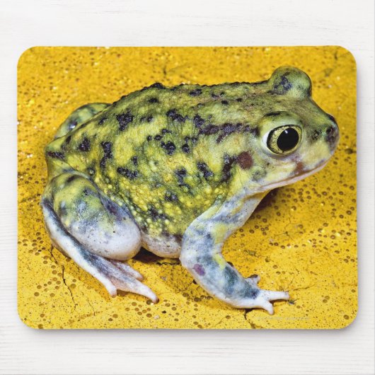 Tapis De Souris Un crapaud (Devant)