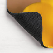 Tapis De Souris Un crocus jaune fleurit à Portsmouth, New (Coin)