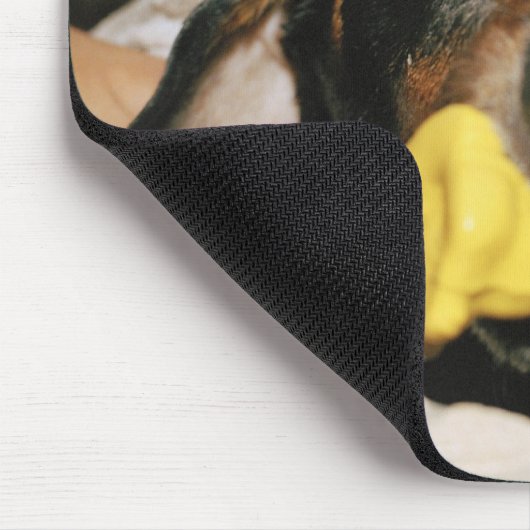 Tapis De Souris Un dachshund baigné. (Coin)