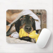 Tapis De Souris Un dachshund baigné. (Avec souris)