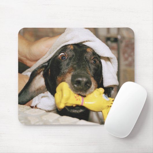 Tapis De Souris Un dachshund baigné. (Avec souris)