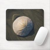 Tapis De Souris Un dollar de sable sur la plage (Avec souris)
