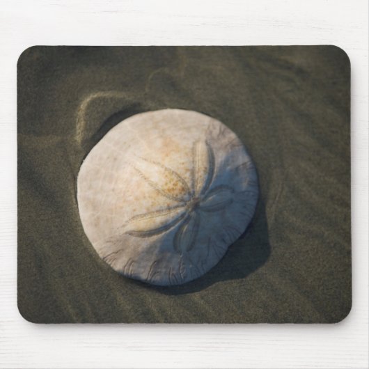 Tapis De Souris Un dollar de sable sur la plage (Devant)