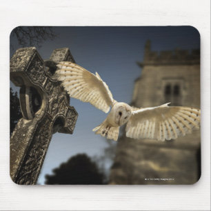 Tapis De Souris Un hibou de grange (Tyto alba) dans un cimetière