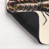 Tapis De Souris Un homard de Solva (Coin)