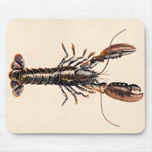 Tapis De Souris Un homard de Solva (Devant)