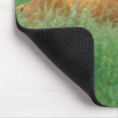 Tapis De Souris Un Jeune Stallion Traverse Le Milieu (Coin)