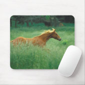 Tapis De Souris Un Jeune Stallion Traverse Le Milieu (Avec souris)