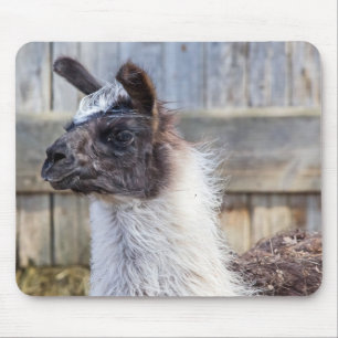 Tapis De Souris Un lama heureux