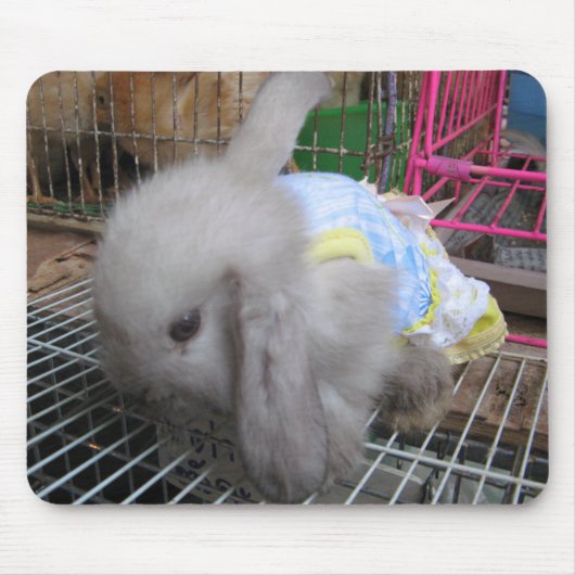 Tapis De Souris Un lapin dans une robe (Devant)