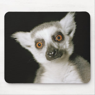 Tapis De Souris Un lemur.