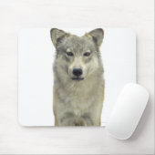 Tapis De Souris Un loup (Avec souris)