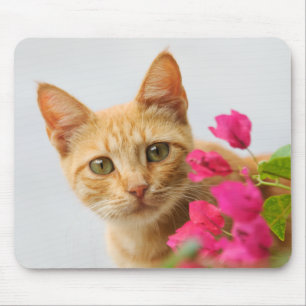 Tapis De Souris Un mignon chaton à table rouge vous regarde.