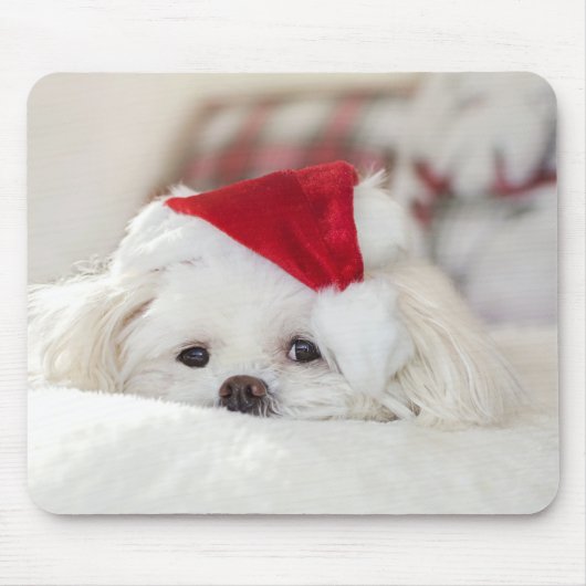 Tapis De Souris Un mignon chien blanc dans un Casquette de Noël ro (Devant)
