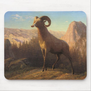 Tapis De Souris un mouton des montagnes rocheuses, Bierstadt Alber