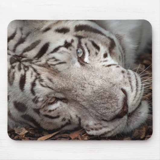 Tapis De Souris Un oeil attentif (Devant)