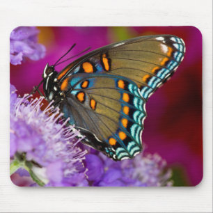 Tapis De Souris Un papillon swallowtail à épices
