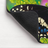 Tapis De Souris Un papillon swallowtail atterrissant (Coin)