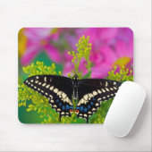 Tapis De Souris Un papillon swallowtail atterrissant (Avec souris)