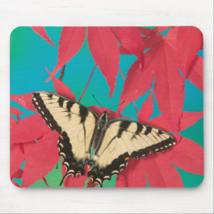 Tapis De Souris Un papillon swallowtail du Canada