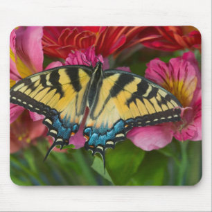 Tapis De Souris Un papillon swallowtail tigre