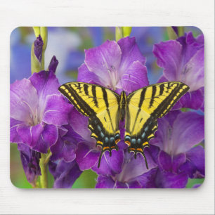 Tapis De Souris Un papillon vice-roi sur des glaïeuls violets