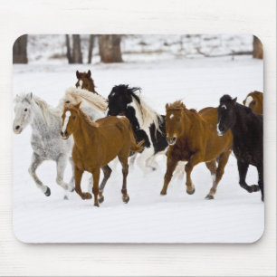 Tapis De Souris Un paysage hivernal de chevaux au galop