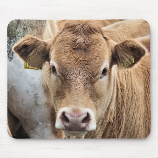 TAPIS DE SOURIS UN PETIT CALF CUISINE (Devant)